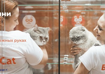 Фото компании ИП BookingCat 6