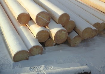 Фото компании ООО Ураллес 1