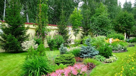 Фото компании  Красивые деревья 4