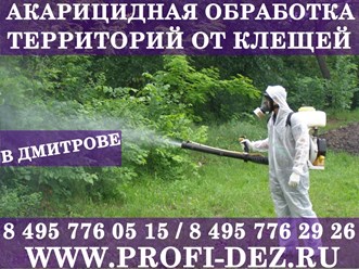 Фото компании ООО Профи - Дез 33