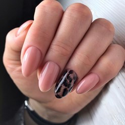 Фото компании  NAILS 6