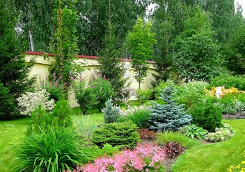 Фото компании  Красивые деревья 4