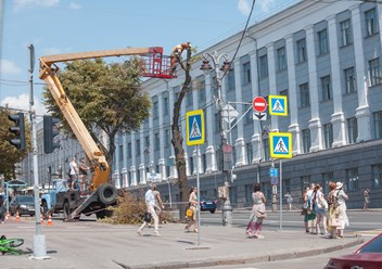 Удаление деревьев на Красной площади города Курска
