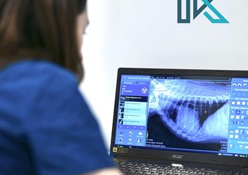 Фото компании  Тимура Казакова 2