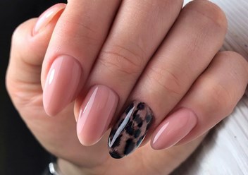 Фото компании  NAILS 6