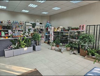 Фото компании ИП ЦветоБар 32