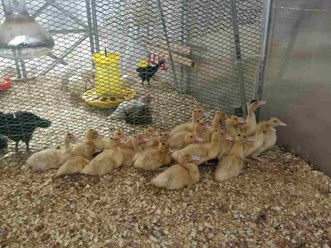 Фото компании ООО Золотое Зернышко 10