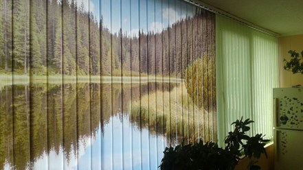 Фото компании ИП Зебра 3