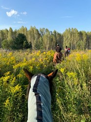 Фото компании  "Узола" 20