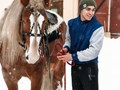 Фото компании ООО Конный Дом 5