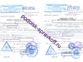 Справки в Подольске с доставкой