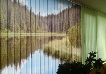 Фото компании ИП Зебра 3