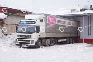 Фото компании ООО Холдинг компаний «АЛЬФА» 2