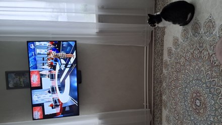 не отходит,любит вас смотреть.