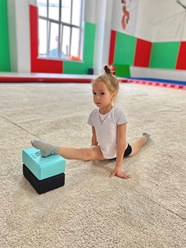 Фото компании  Всероссийская сеть детских спортивных школ по художественной гимнастике и спортивной акробатике «FD» Ново-Переделкино (Боровское Шоссе) 26