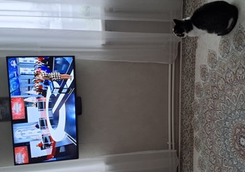 не отходит,любит вас смотреть.