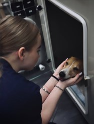 Фото компании ООО Планета 5