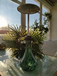 Фото компании  White Star 360 1