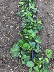 Фото компании ООО Заур и К 16