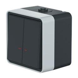 Выключатель двухклавишный CADUCEUS ALING PROTECTA для открытой проводки, с индикацией, 10АХ, 250В~