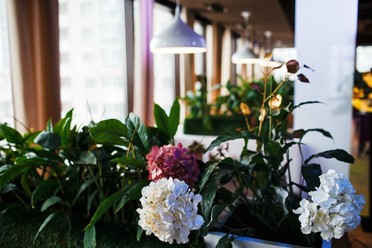 Фото компании  IlTokyo, кафе 21