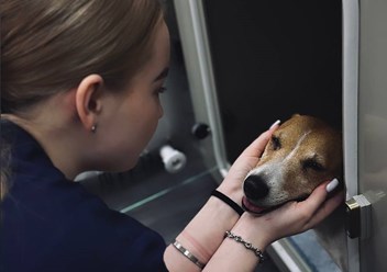 Фото компании ООО Планета 5