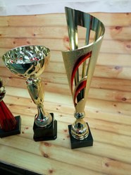 кубки наградные