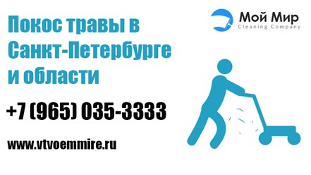 Фото компании  Мой Мир 4