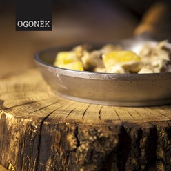 Фото компании  Ogonёk 17