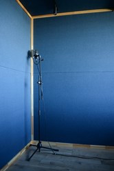 Микрофон AKG C214 и тон зал