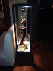 Фото компании  Hause Mafia, кафе-ресторан 24