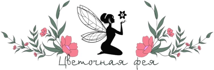 Фото компании ИП «Цветочная фея» 1
