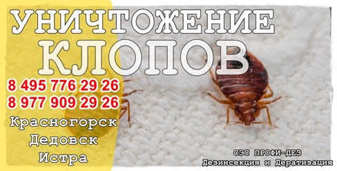 #дезинфекция 
#уничтожениеклопов 
#дезинсекция 
#уничтожениеклопов 
#уничтожениенасекомых 
#дезинсекцияколомна 
#дезинфекцияколомна 
#уничтожениекомаровколомна 
#уничтожениеклоповколомнепрофидез