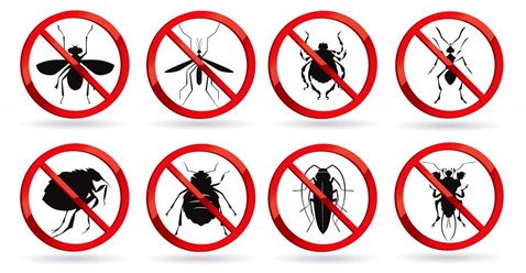 Уничтожение насекомых компанией "ПРОФИ-ДЕЗ" 8-967-23-444-34 / 8-495-776-05-15 / 8-977-806-05-15