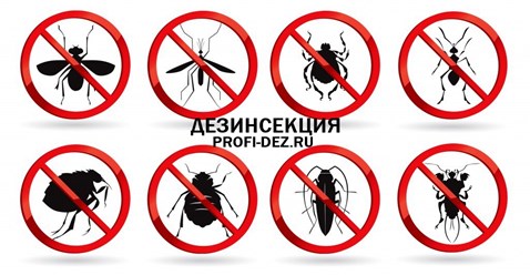 Компания "ПРОФИ-ДЕЗ" 
ДЕЗИНСЕКЦИЯ
ДЕРАТИЗАЦИЯ
ДЕЗИНФЕКЦИЯ
ДЕЗОДОРАЦИЯ 8-495-776-05-15 8-977-806-05-15 ( 24/7 )