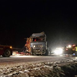 Фото компании ООО Данко-Транс 4