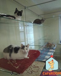 Фото компании ООО Кетс Рум 3