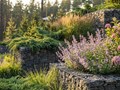 Фото компании ООО New - garden 3