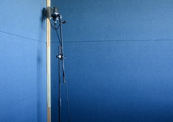 Микрофон AKG C214 и тон зал