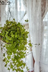 Фото компании  НАША Dacha, ресторан 51
