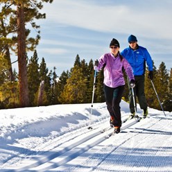 Фото компании  Пункт проката «Ski&Bike» - Лосиный остров 1