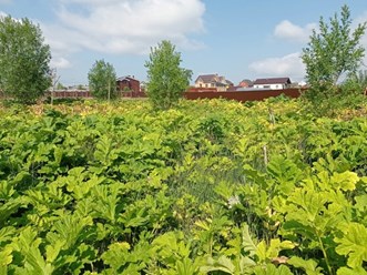 Фото компании ООО Дезогород 1