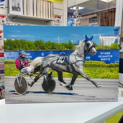 Фото компании  Fotobar | Фотобар - фотопечать, цифровая печать, полиграфия 1