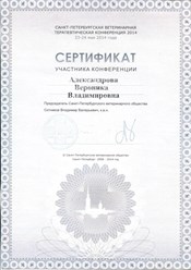Сертификат Санкт-Петербургской терапевтической конференции