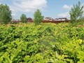 Фото компании ООО Дезогород 1