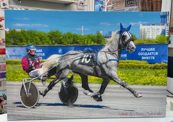 Фото компании  Fotobar | Фотобар - фотопечать, цифровая печать, полиграфия 1