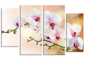 Модульная картина Орхидеи на ветке, m0160 - под заказ, общим размером от 100х60см. Детали и актуальная цена - на сайте: https://kartiny.in.ua/modulnye-kartiny/nature-8