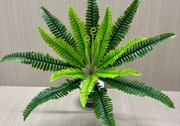 Фото компании ООО FanFlowers.shop 5