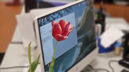 Фото компании ООО Совместные решения 2