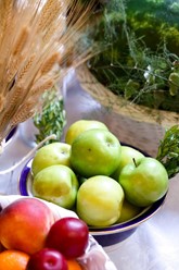 Фото компании  Штакеншнейдер, ресторан-гостиная 10